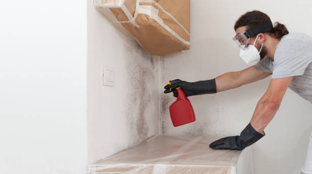 Professional Mold Removal technician working in Carrollton, IL